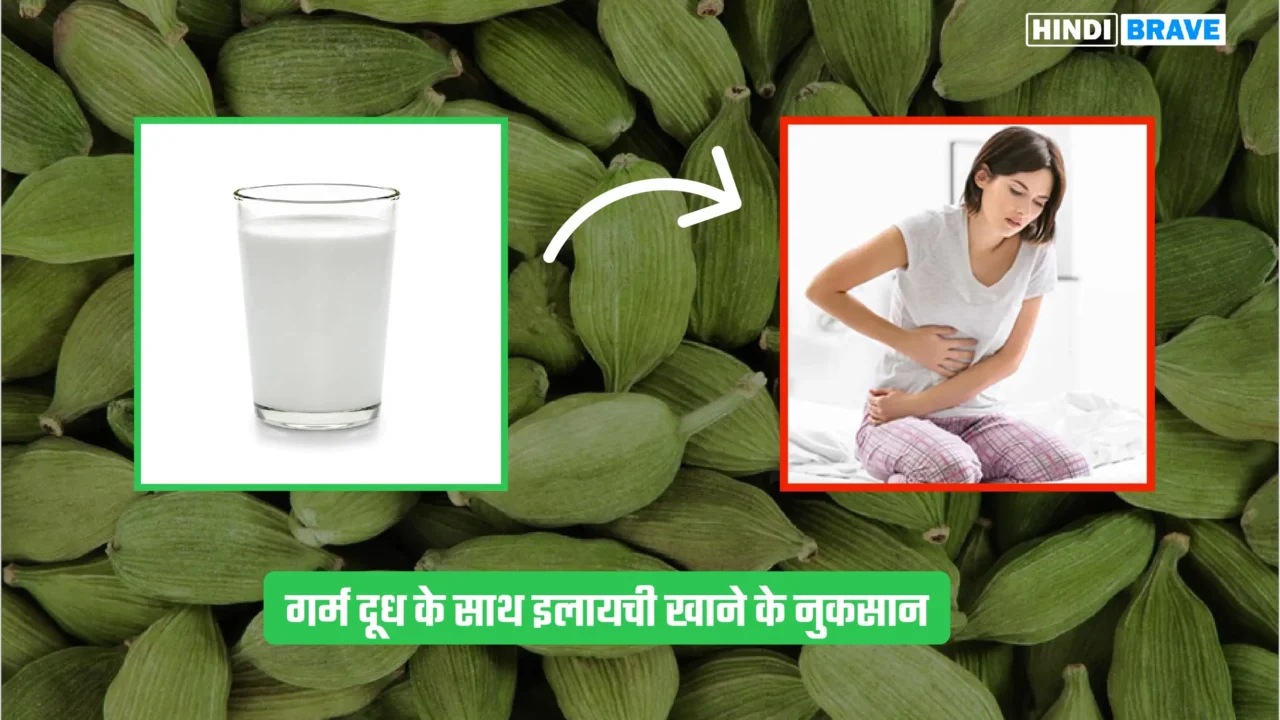 Disadvantages of eating cardamom with hot milk