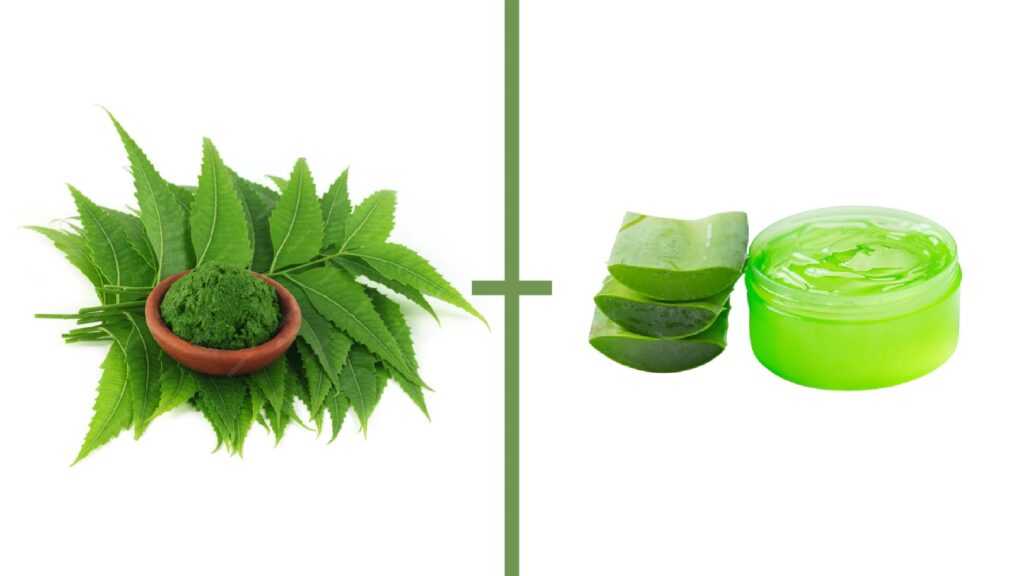 Neem leaves paste and aloe vera gel